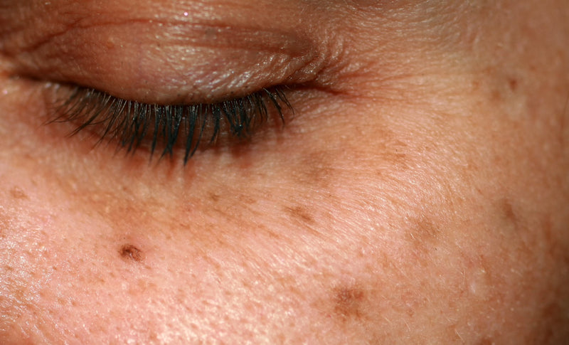 Sun Spots - Osmia