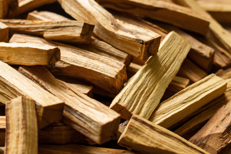 What's So Special About Palo Santo? - Osmia