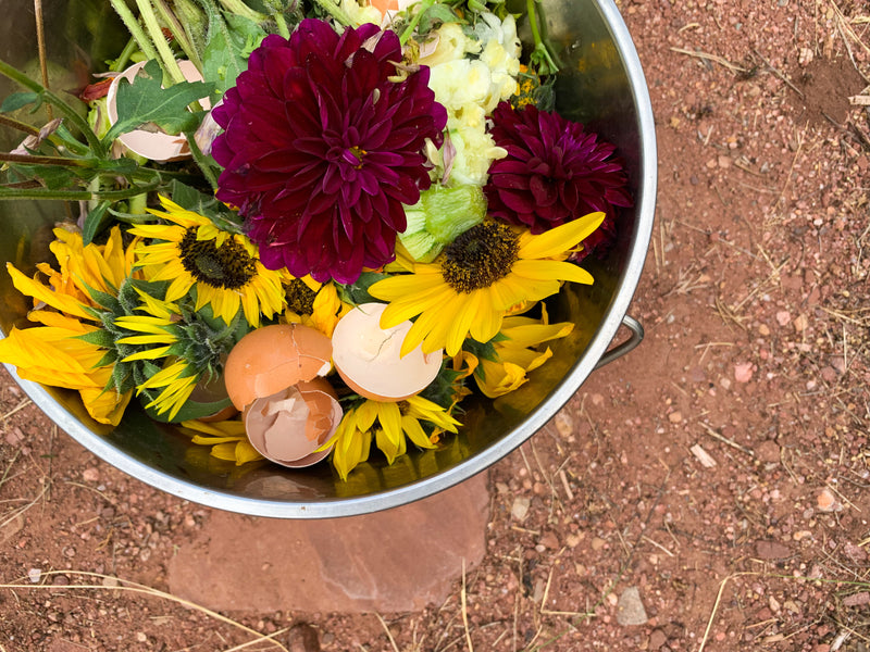 How To Start A Compost Pile - Osmia