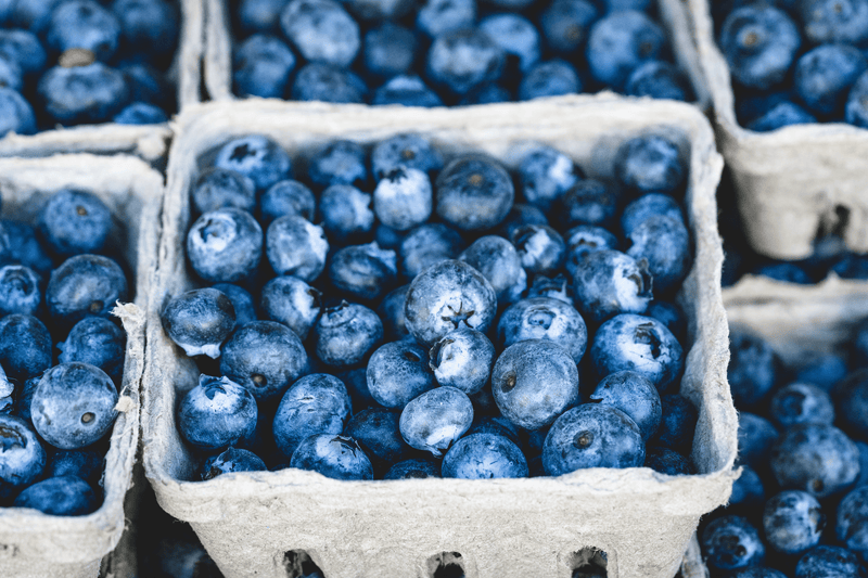 Blueberry Basil Breakfast Smoothie - Osmia