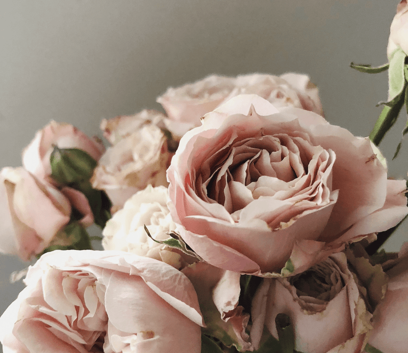 How to Care for Your Skin During Cancer Treatment - Osmia