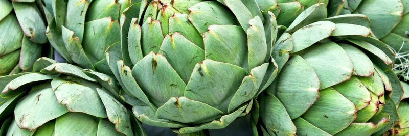 How To Artichoke - Osmia