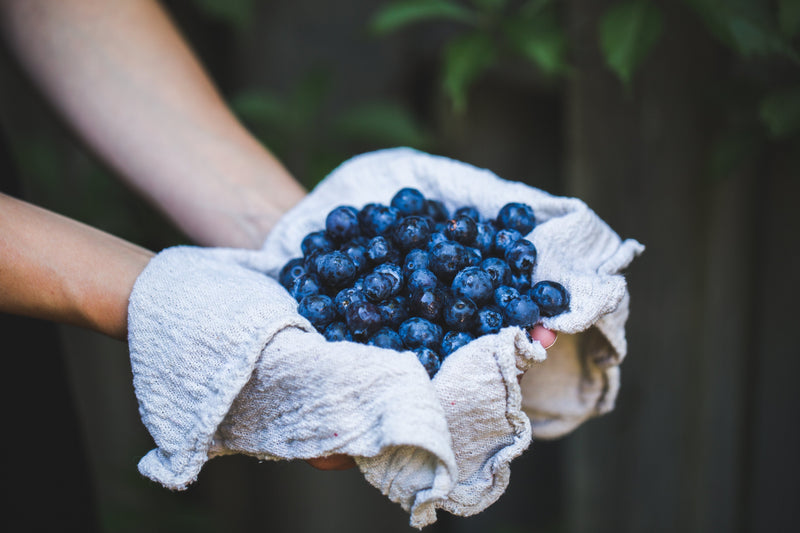 What Is An Antioxidant, Anyway? - Osmia