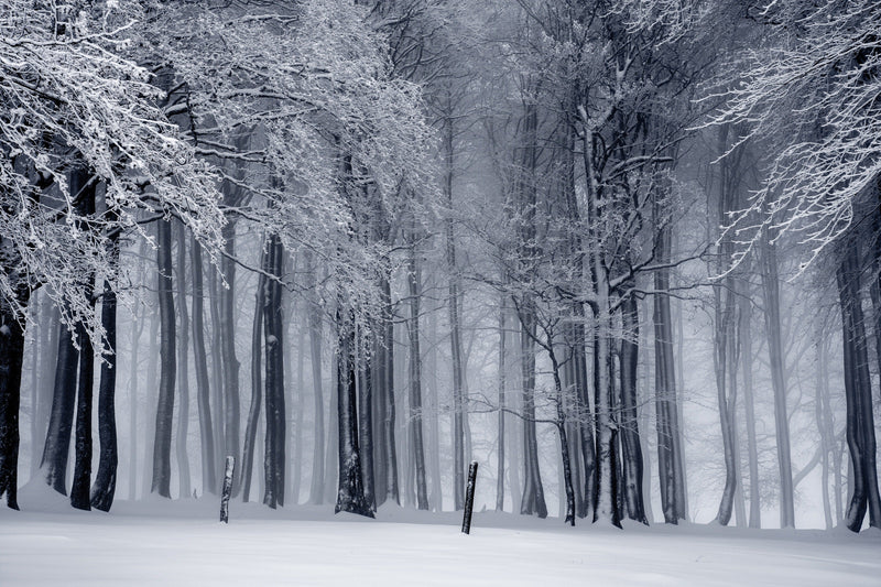 6 Natural Remedies For The Winter Blues - Osmia