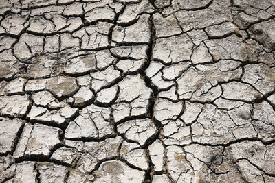 Why Are My Lips Always Chapped? 10 Hidden Causes of Chronic Dry Lips - Osmia