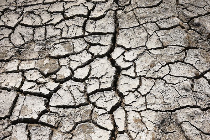 Why Are My Lips Always Chapped? 10 Hidden Causes of Chronic Dry Lips - Osmia