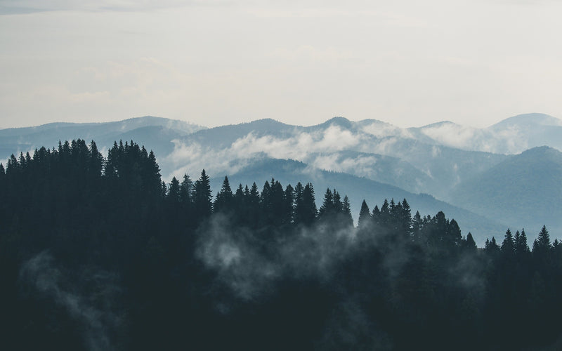 Our Favorite Colorado Companies - Osmia