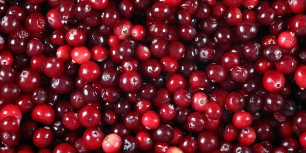 Best. Cranberry. Sauce. Ever. - Osmia