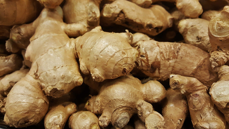 What's So Special About Ginger? - Osmia