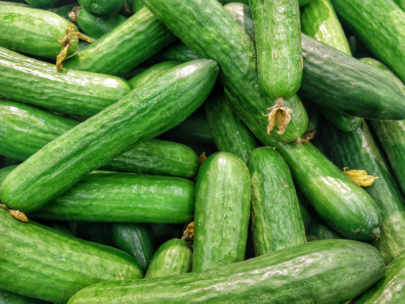 The Perfect Chilly Summer Soup - Osmia
