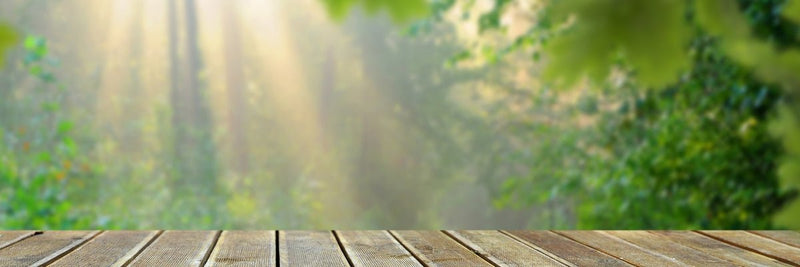 Five Timeless Life Lessons From My Mom (That Still Make Me Smile) - Osmia