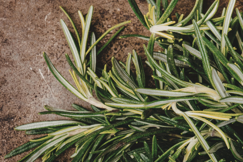 Rosemary Oil for Hair Growth: What the Research Shows - Osmia