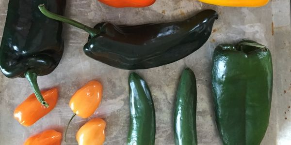 Two Easy Homemade Salsas: Classic Tomato and Fresh Tomatillo - Osmia