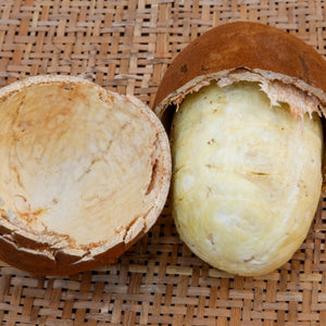 Cupuaçu butter
