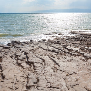 Dead Sea mud