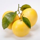 Organic grapefruit essential oil