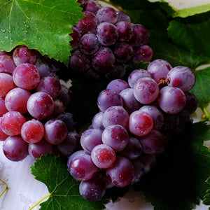 Grapeseed oil