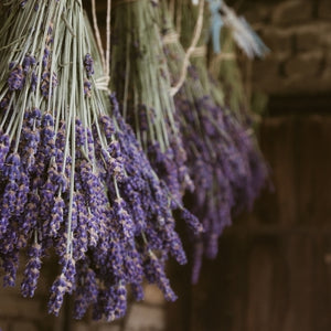 Organic lavender essential oil