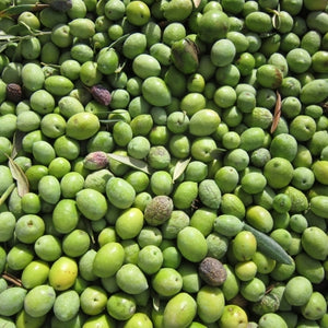 Organic olive oil
