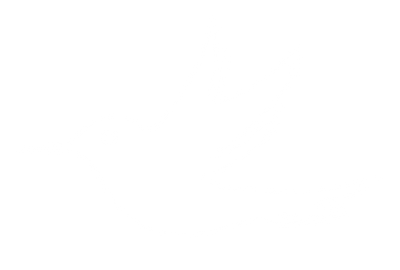 Newsletter icon