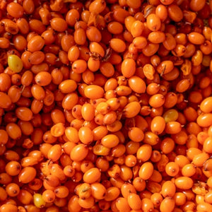 Organic sea buckthorn CO2 extract