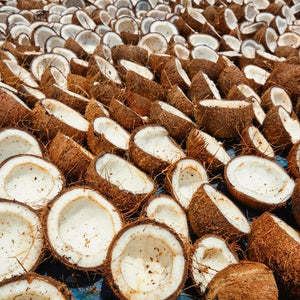 Organic steam-fractionated coconut oil