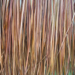 Organic vetiver essential oil