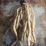 Organic carrot root CO2 extract